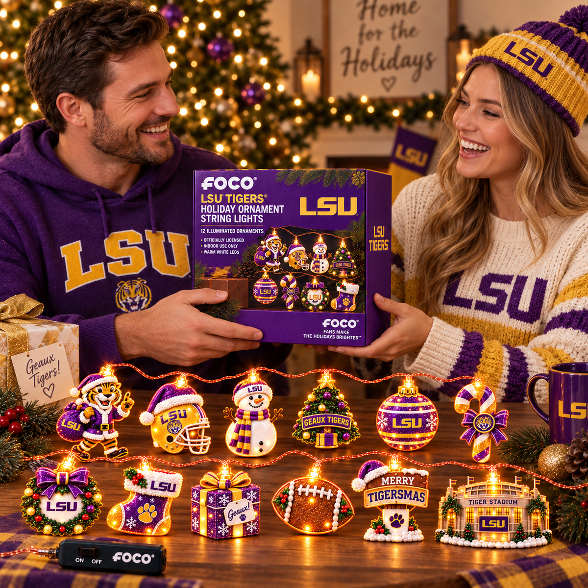 LSU Premium decorative Christmas LED string lights BMD